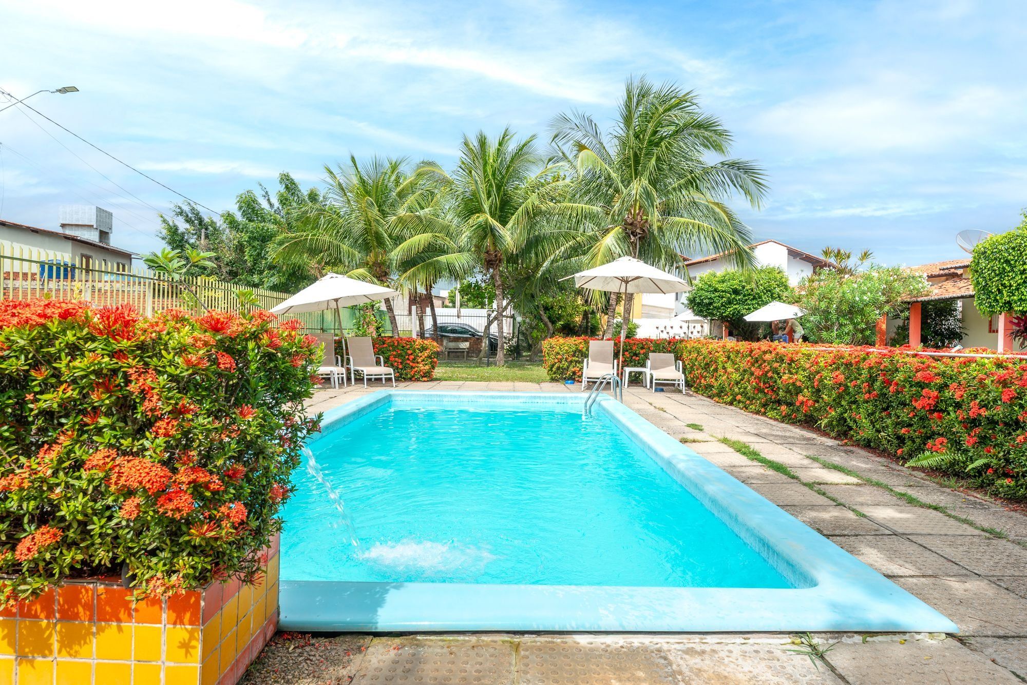 Piscina retangular com borda em azulejo, cercada por vegetação exuberante e plantas floridas vermelhas.