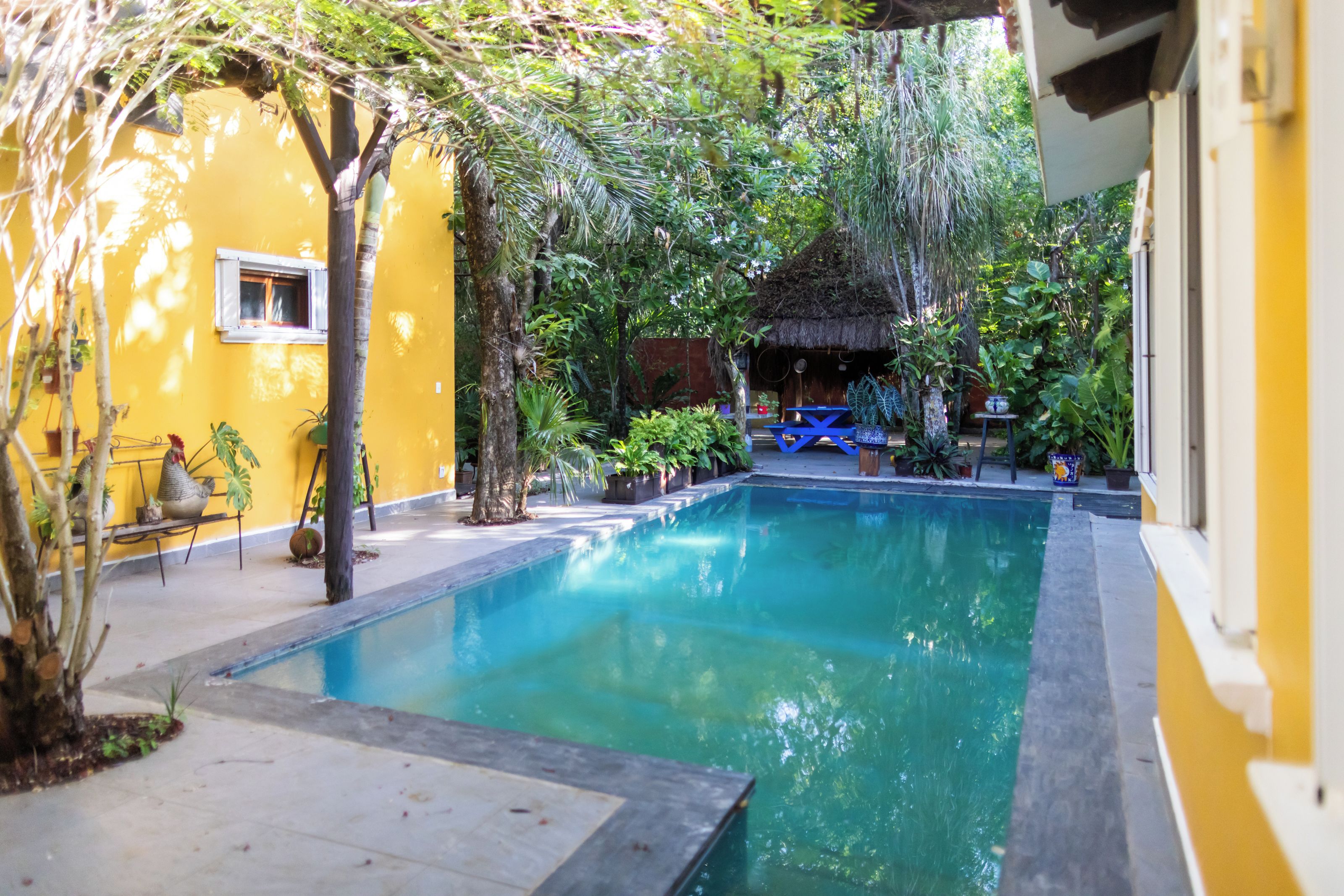 A swimming pool surrounded by lush greenery and a yellow building.