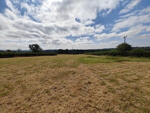 Ein weites Feld mit blauem Himmel und vereinzelten Wolken.