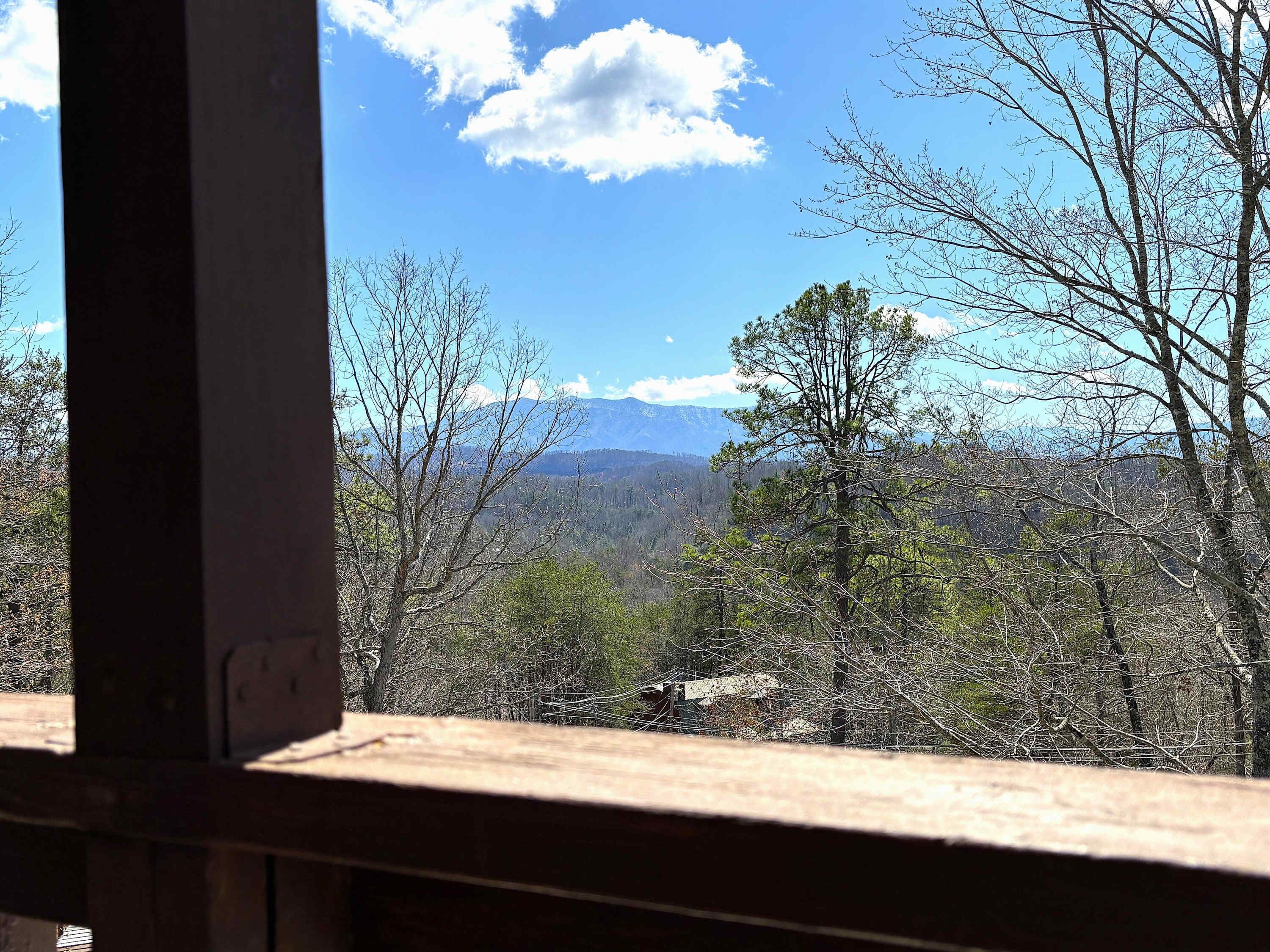 Gorgeous Winter view of Mt. Leconte.
