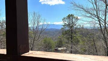 Gorgeous Winter view of Mt. Leconte.