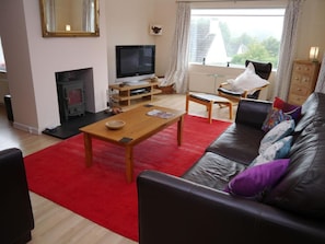 A living room with a fireplace, a television, a sofa, and a coffee table. - 4 Bed in Kirkcudbright (oc-d546533) (Kirkcudbright)