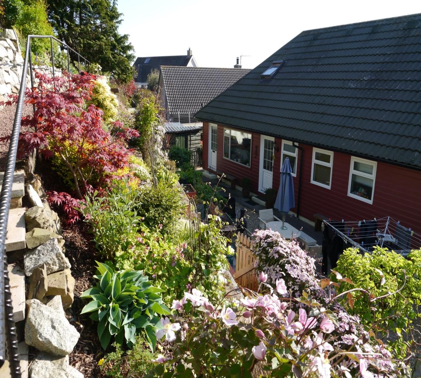 A residential area with houses, a garden with various plants, and a metal structure.