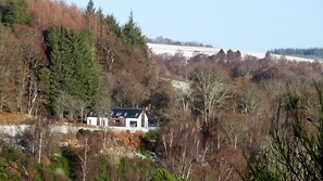Ein Haus, umgeben von dichtem Wald, mit blauem Himmel.