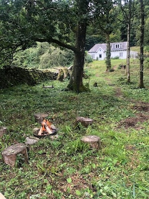 Eine natürliche Outdoor-Umgebung mit einem Feuerkorb, umgeben von Baumstümpfen, einer Steinmauer und einem Haus im Hintergrund.