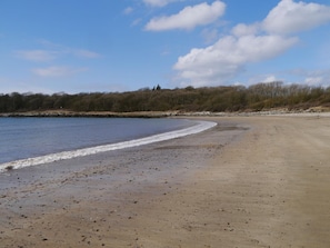 Ein Strand mit sandigem Ufer und ruhiger See.