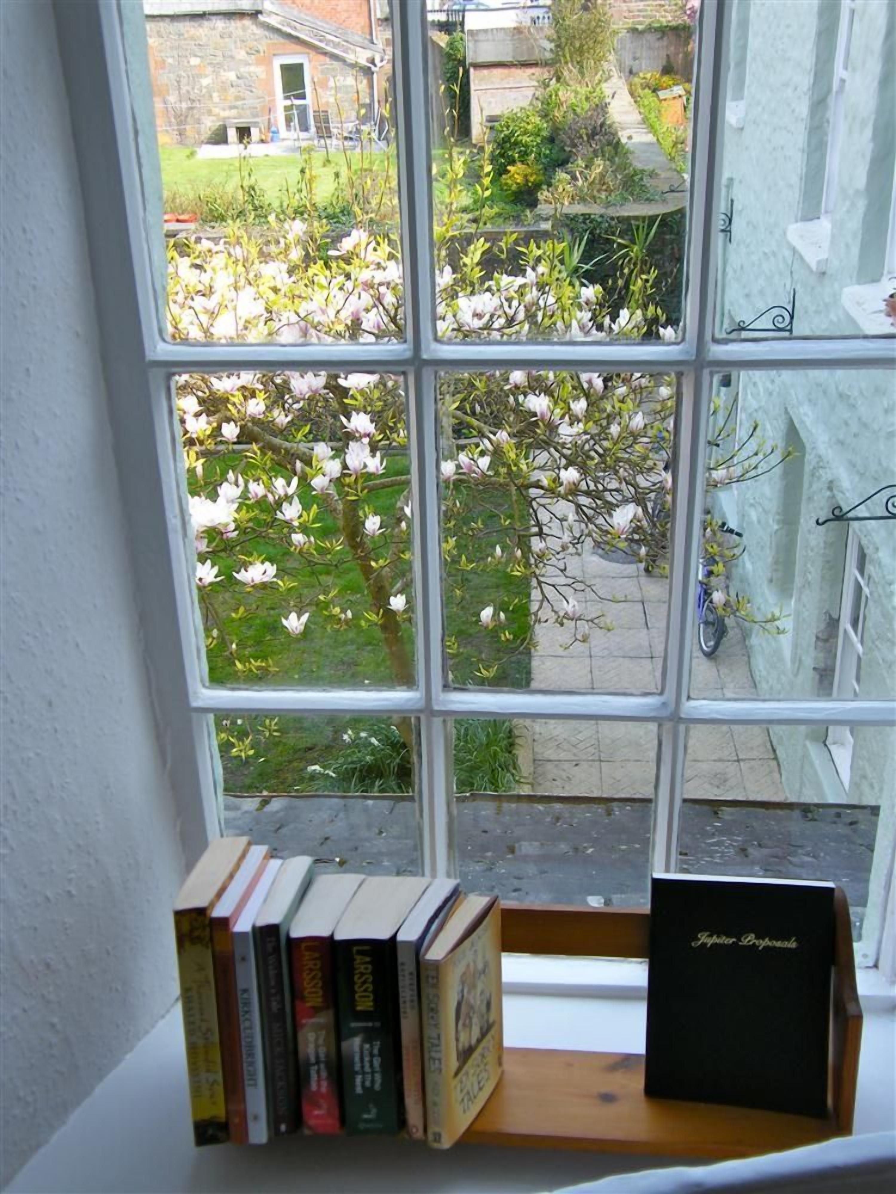 Une fenêtre donnant sur un jardin et une bibliothèque remplie de livres.