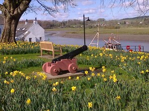 Eine Kanone in einem Feld mit gelben Blumen, eine Bank und ein Gebäude im Hintergrund.