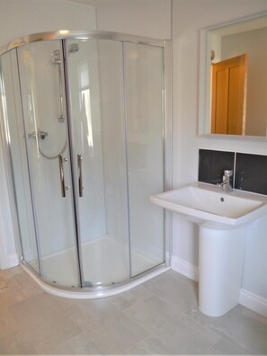 A glass-enclosed shower with a white sink and a mirror above it. - 3 Bed in Kippford (oc-d611144) (Kippford)