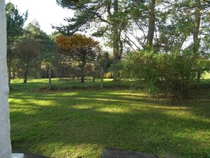 A grassy outdoor area with trees and a fence. - 3 Bed in Rockcliffe (oc-d546117) (Rockcliffe)