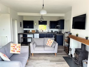 A modern living room with a grey sofa, a fireplace, and a kitchen area with dark cabinets and a stove. - 3 Bed in Rockcliffe (oc-d546117) (Rockcliffe)