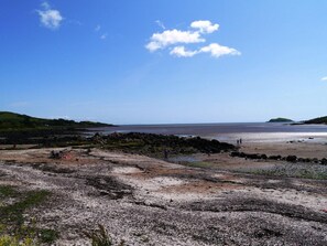 Eine Küstenlandschaft mit einem felsigen Strand, blauem Himmel und sanften Hügeln in der Ferne.