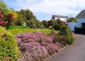 A residential garden with a lawn, various shrubs, and a pathway leading to a house. - 3 Bed in Rockcliffe (oc-d545917) (Rockcliffe)