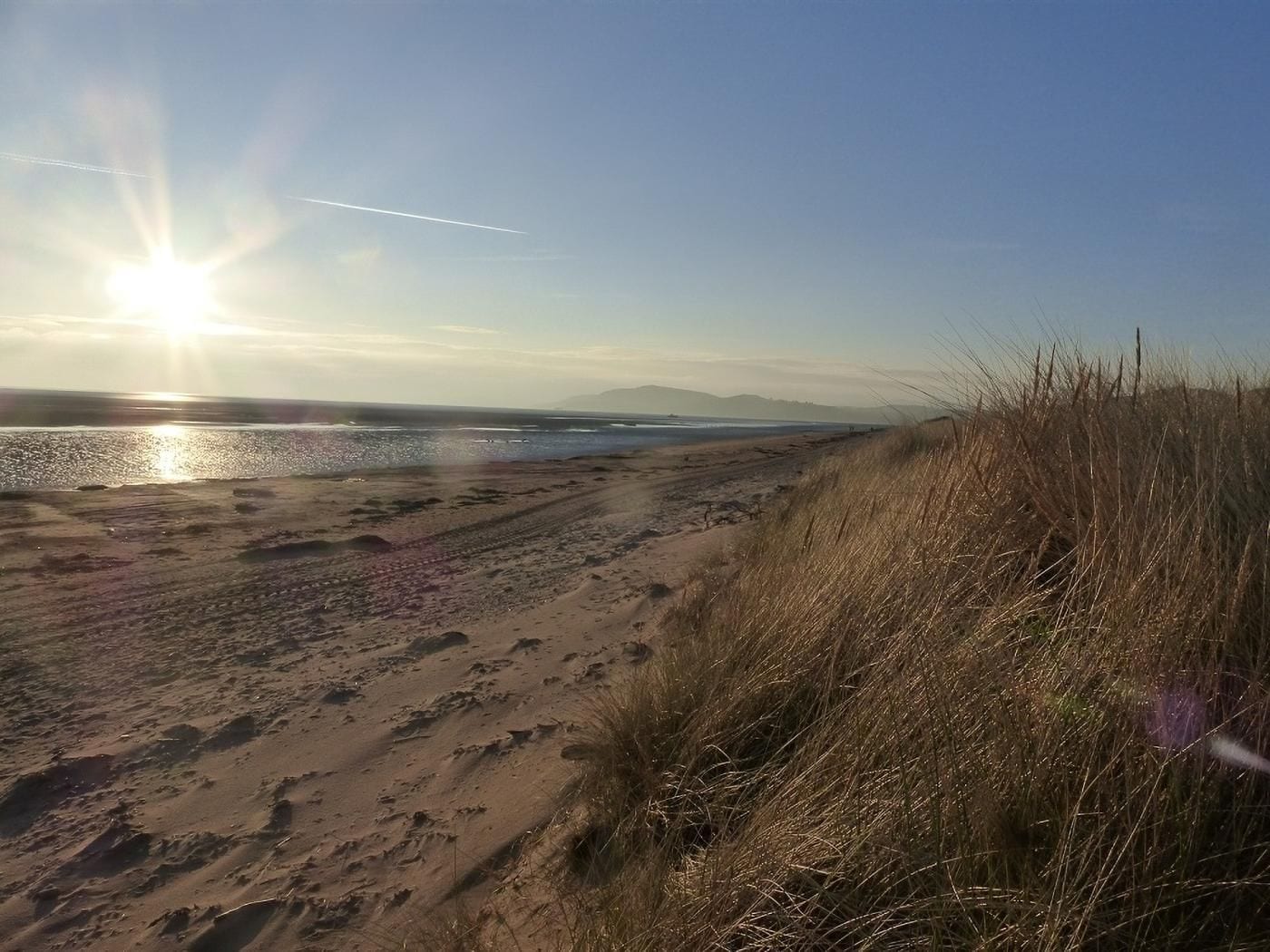 Une plage de sable avec quelques touffes d’herbe, un ciel dégagé et un soleil se couchant ou se levant.