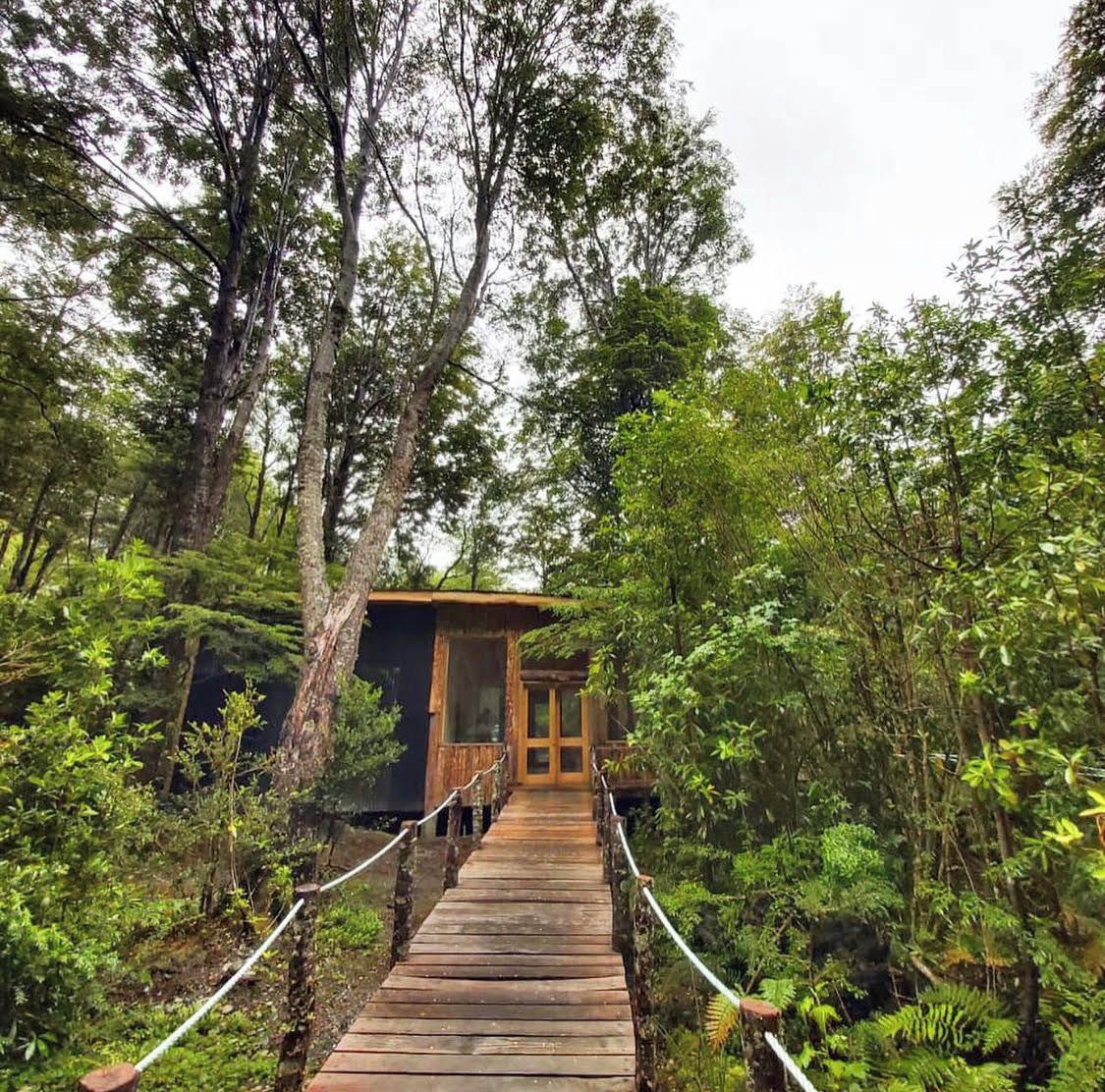 Un puente de madera que lleva a una cabaña pequeña rodeada de un bosque frondoso.