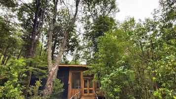 Un puente de madera que lleva a una cabaña pequeña rodeada de un bosque frondoso.