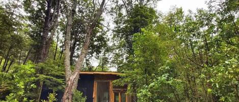 Un puente de madera que lleva a una cabaña pequeña rodeada de un bosque frondoso.