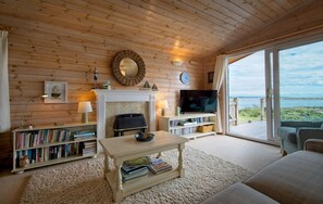 A cozy living room with a fireplace, television, and bookshelves. - 3 Bed in Mossyard, Gatehouse Of Fleet (oc-d546054) (Gatehouse of Fleet)