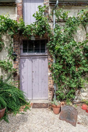 A grey door with a window, surrounded by greenery and brick walls.