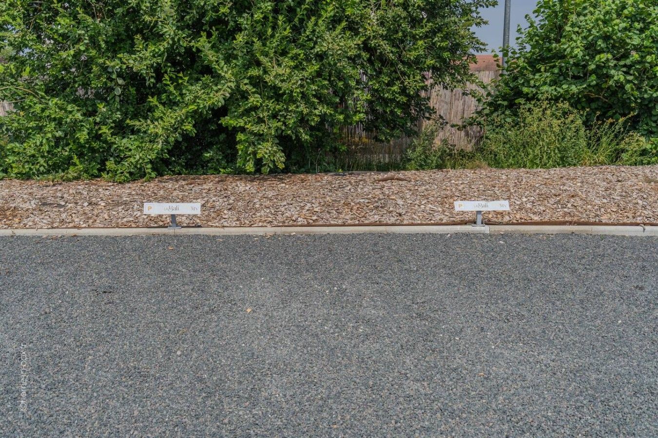 A parking area with two signs indicating parking spaces.