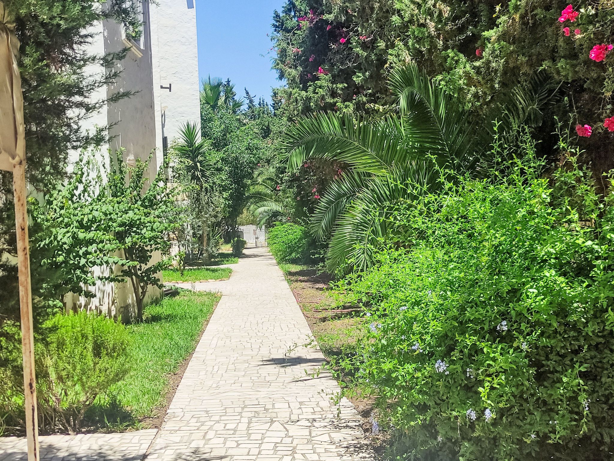 Un vialetto lastricato costeggiato da vegetazione lussureggiante e piante fiorite, che conduce a un edificio con facciata bianca.