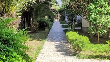 Un sendero pavimentado bordeado por abundante vegetación y árboles que conduce a un edificio.