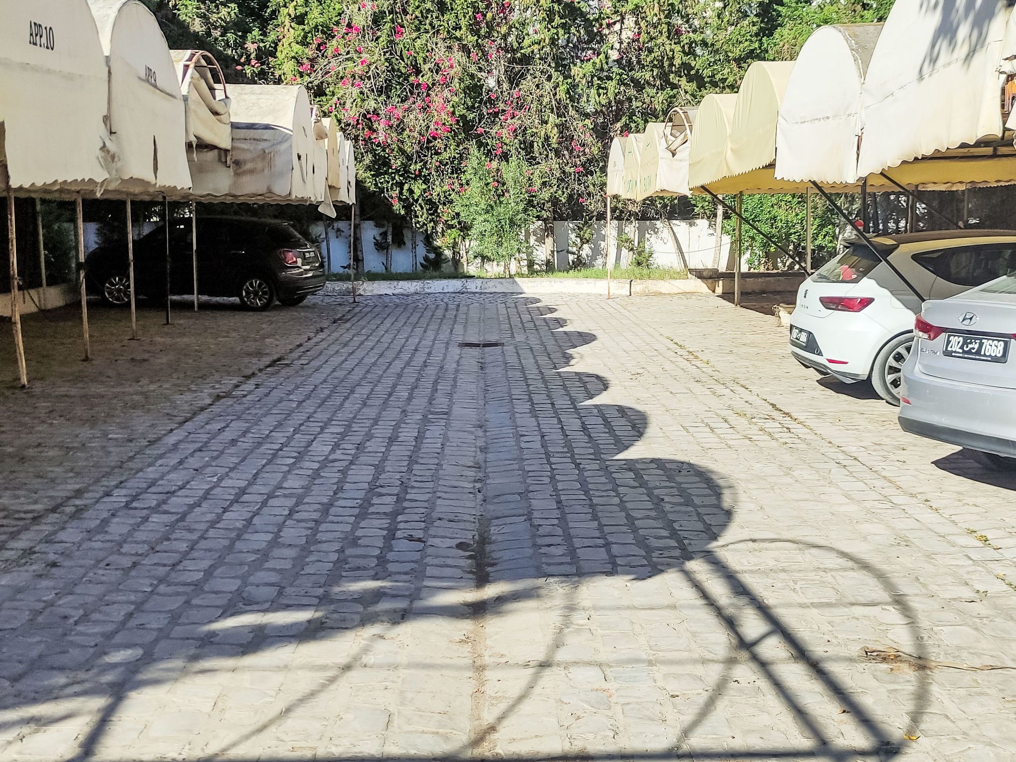 A paved courtyard with parked cars and a tree with pink flowers.