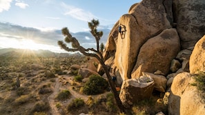 A rocky landscape with a large boulder and a tree with spiky branches.