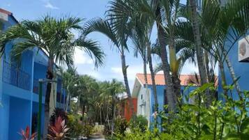 A resort courtyard with palm trees, a swimming pool, and colorful buildings.