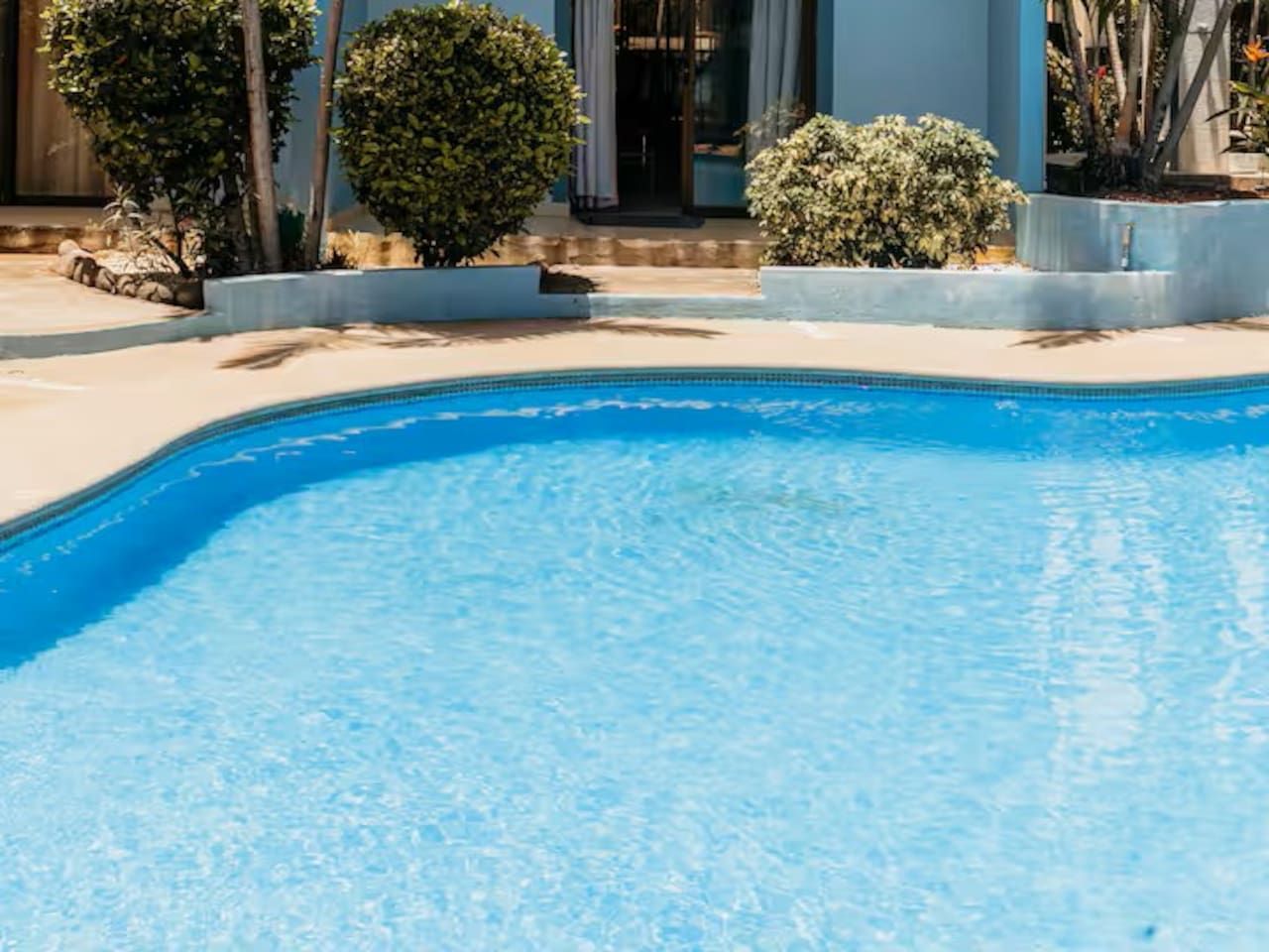 A swimming pool with a curved edge, surrounded by a concrete deck and small bushes.