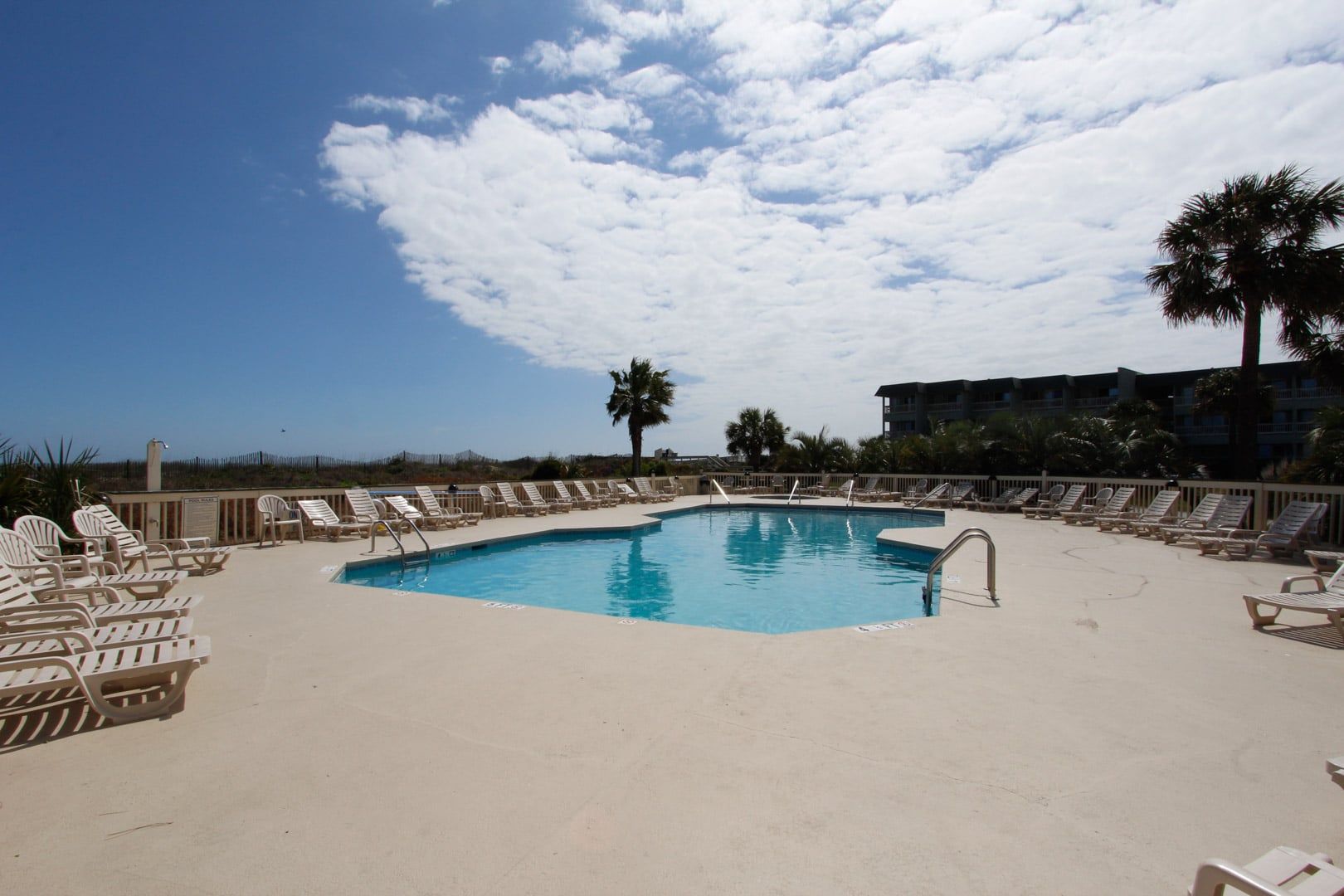 A pool area with lounge chairs, a palm tree, and a building in the background.