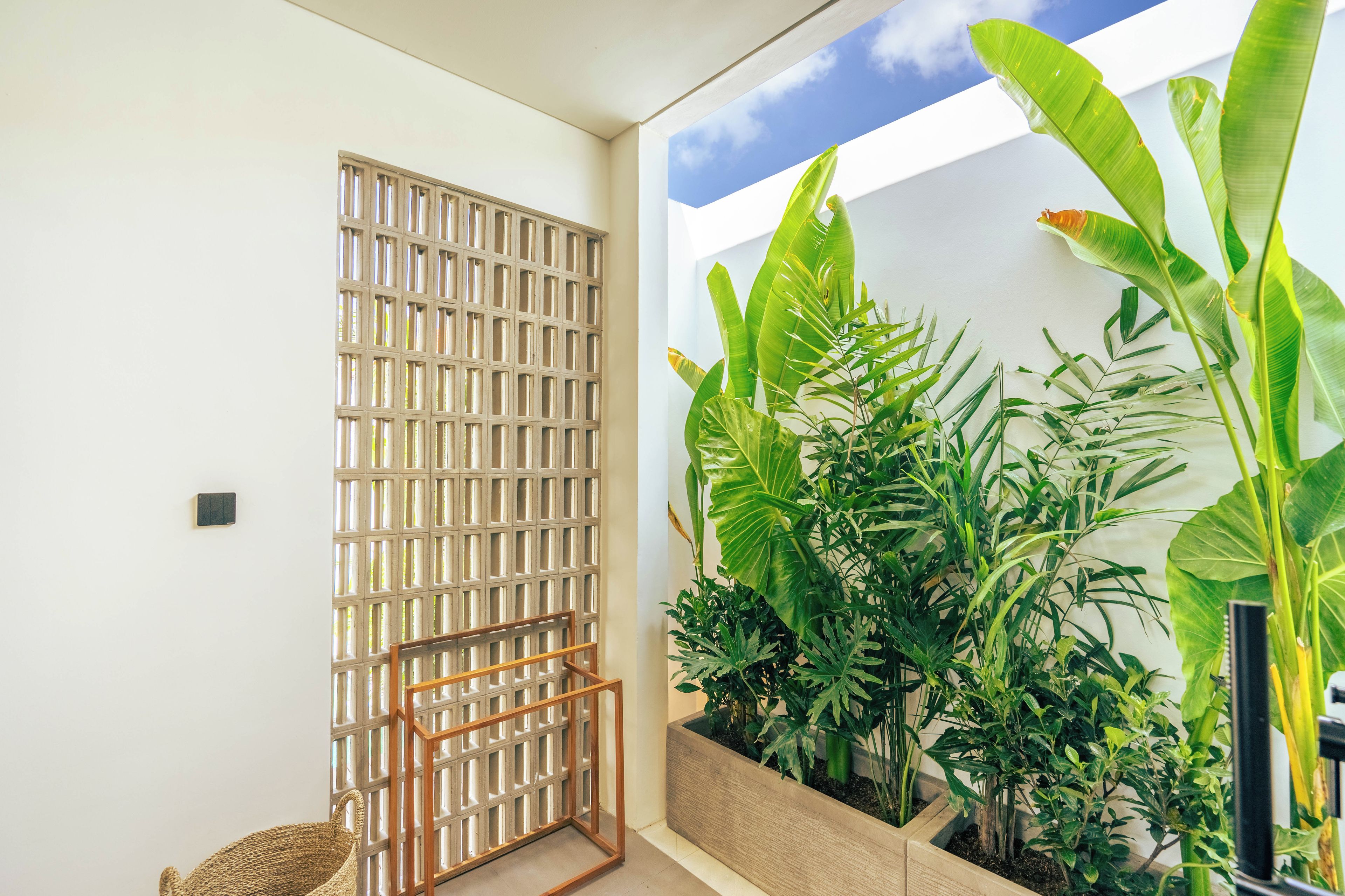 A room with a wooden partition, a woven basket, and a variety of green plants.