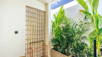 A room with a wooden partition, a woven basket, and a variety of green plants.