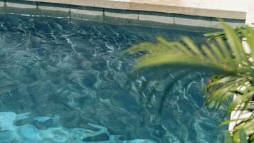 Une piscine aux eaux limpides, où l’on peut distinguer des motifs dans l’eau, avec une plante au premier plan.