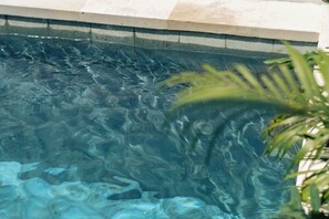 Une piscine aux eaux limpides, où l’on peut distinguer des motifs dans l’eau, avec une plante au premier plan.