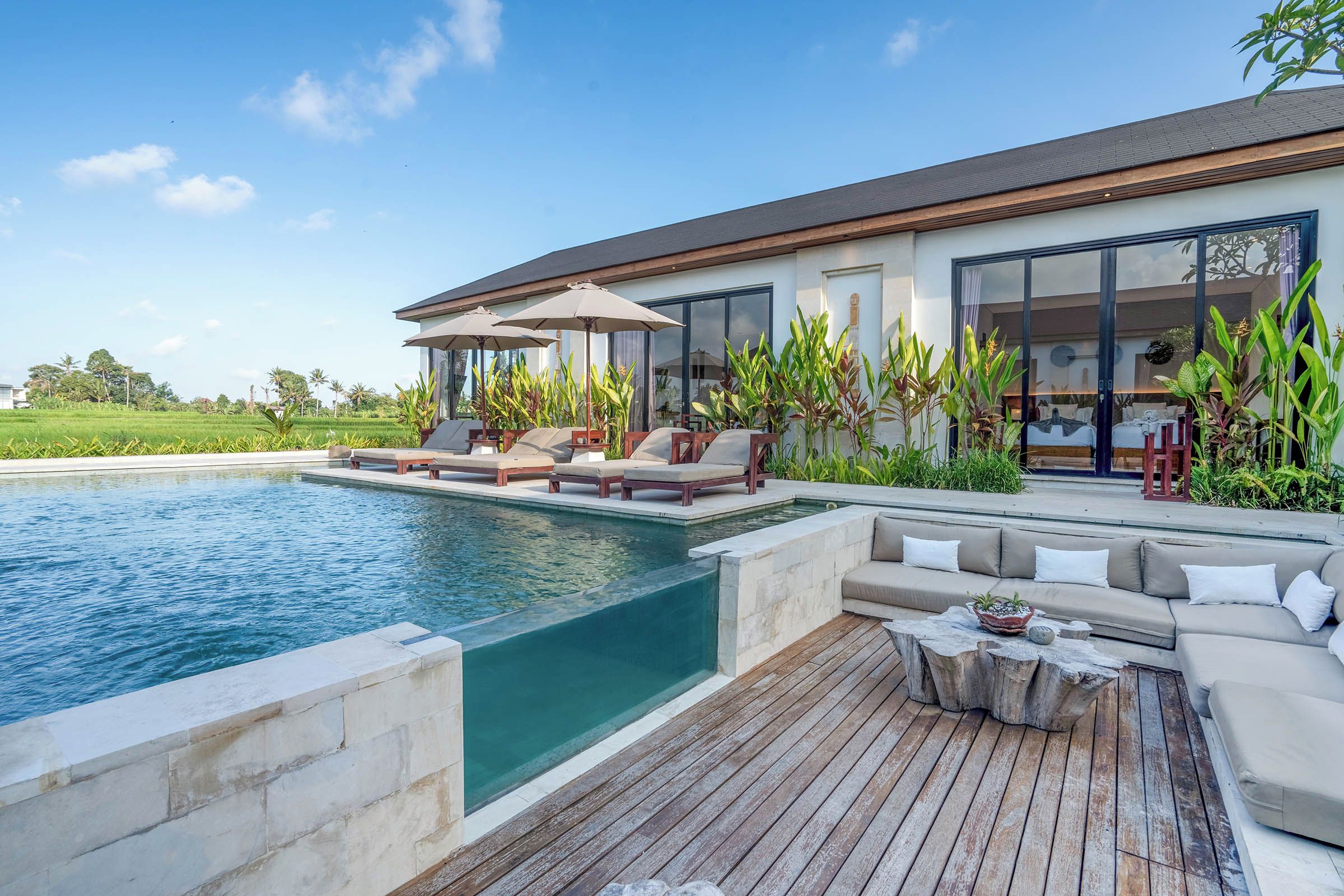 A modern house with a swimming pool, outdoor seating, and lush greenery.