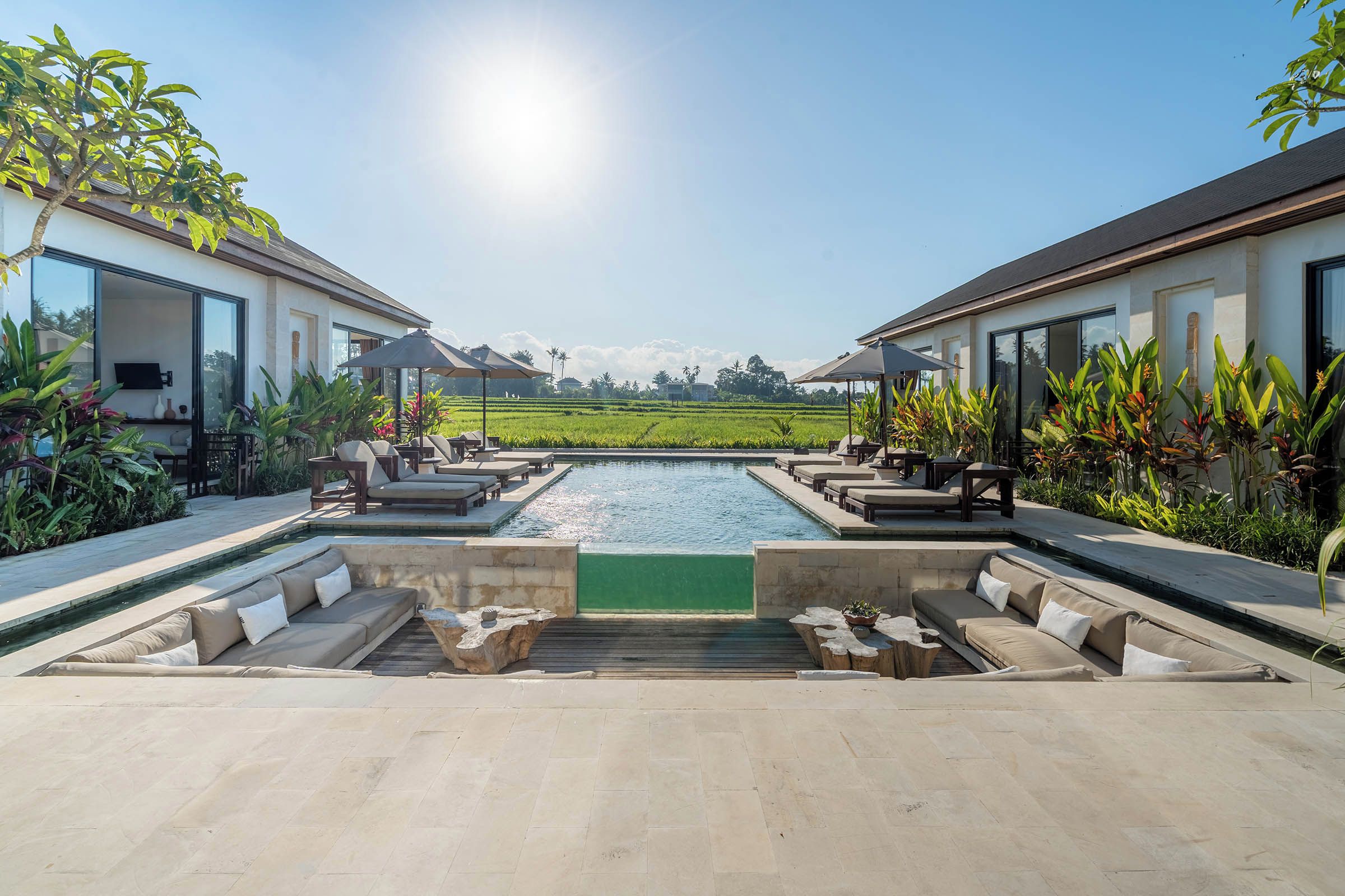 Un área de piscina con sillones de descanso y vistas a un campo de arroz.