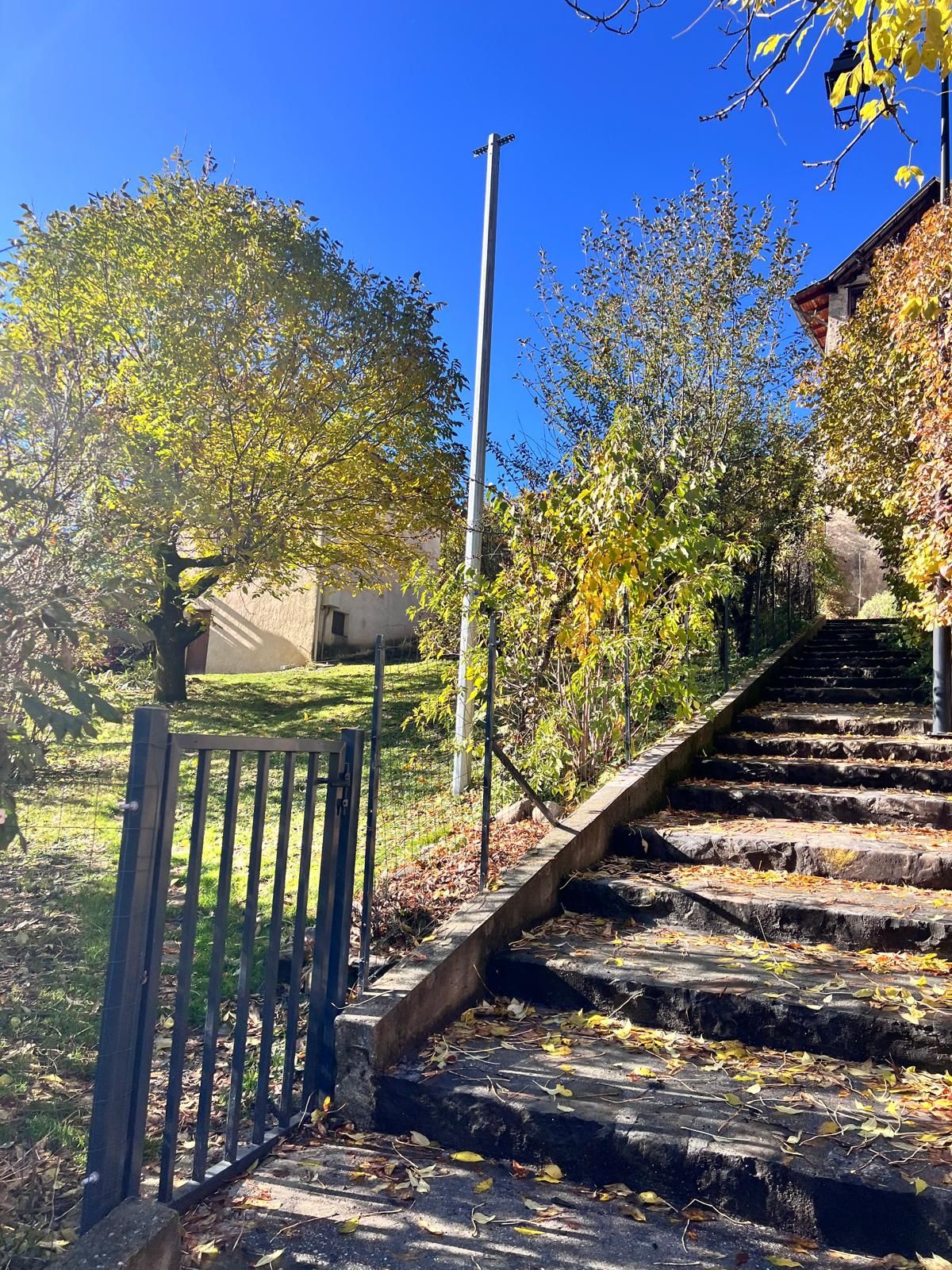 A set of stone steps leading up to a building, surrounded by trees with autumn foliage.