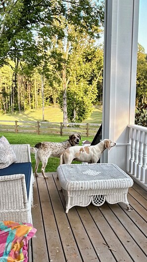 Eine Holzterrasse mit einer weißen Bank und einem Korbstuhl, mit Blick auf einen begrünten Garten mit Bäumen.