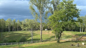 Un champ herbeux avec des arbres et une clôture en bois.