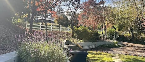 A garden with a paved path, a white fence, and trees with autumn foliage.