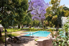 A swimming pool with lounge chairs and a garden area with various plants and trees.
