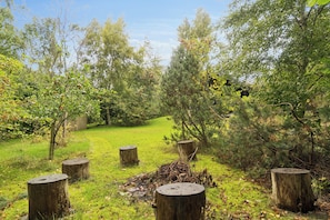 A natural outdoor area with a grassy path, wooden stumps, and dense trees. - Lovely house on Helgenæs (Knebel)