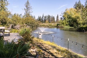 A tranquil outdoor setting with a pond, a wooden deck, and a variety of trees. - The Duck Pond experience; a unique PNW experience living life on the pond (Port Angeles)