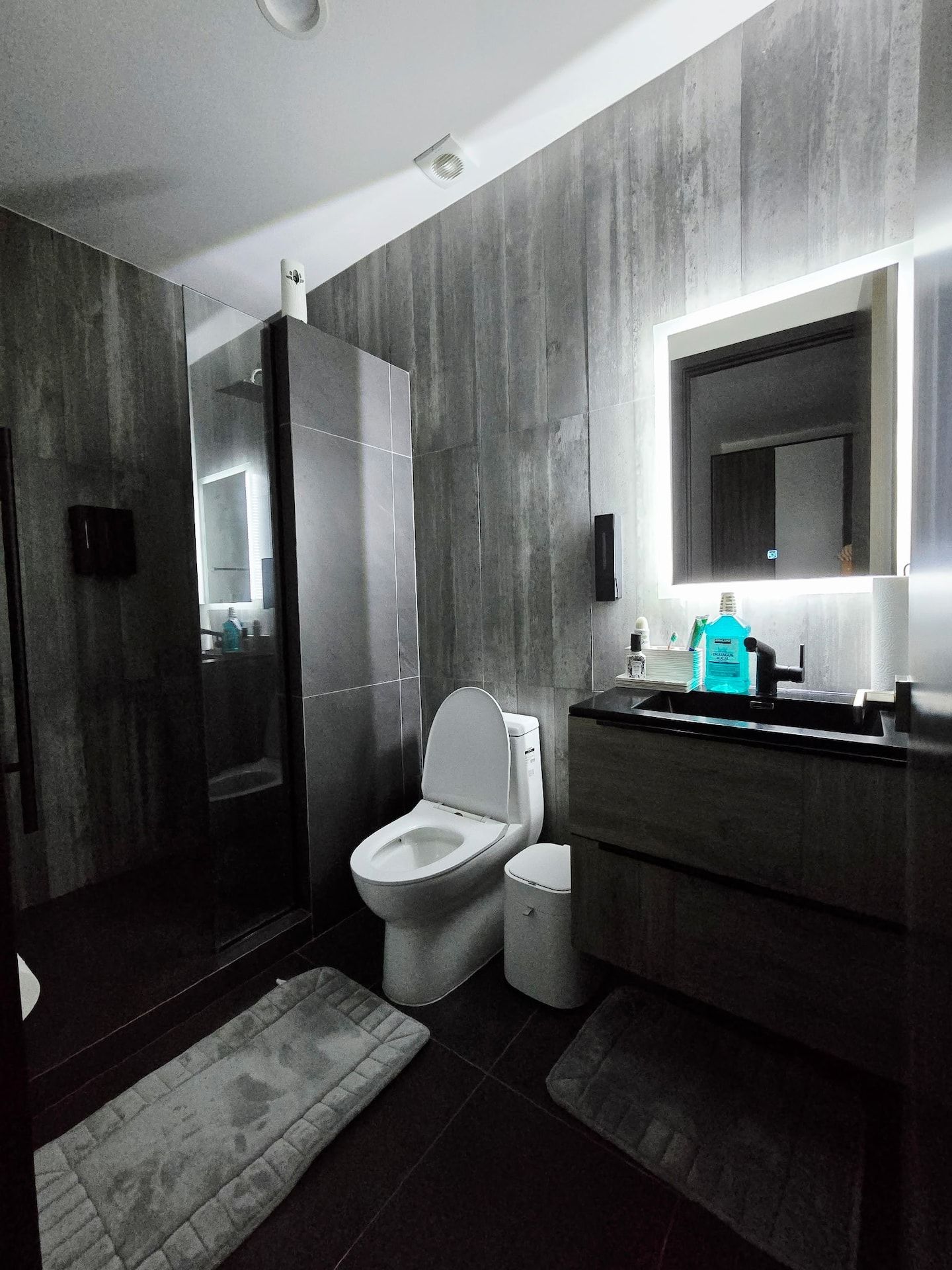 Un baño moderno con ducha a ras de suelo, inodoro y zona de lavabo.