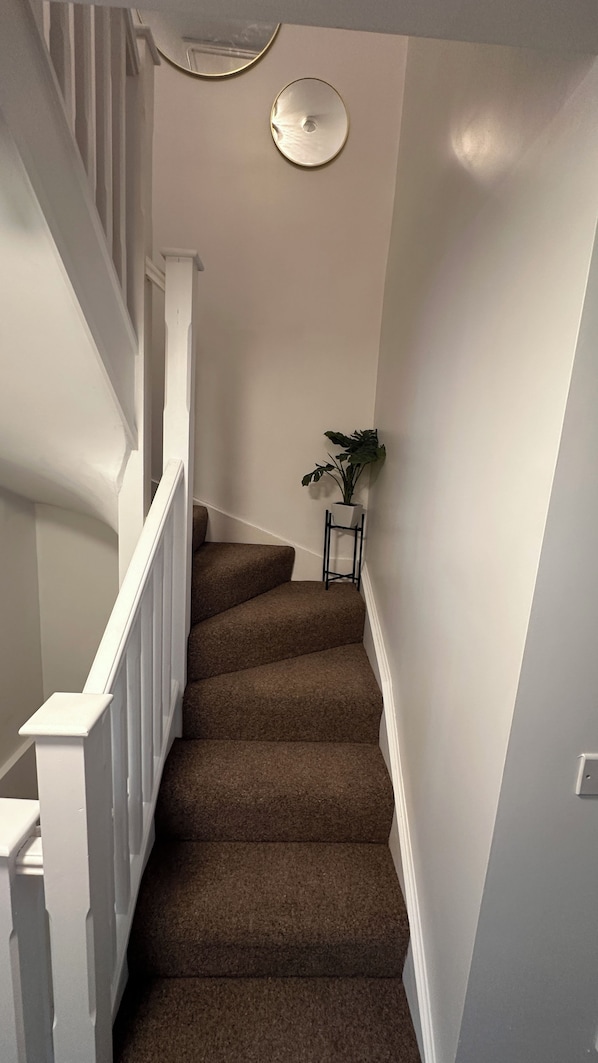A staircase with a white railing, carpeted steps, and a potted plant on a small stand.