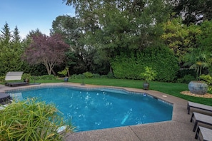 A swimming pool with a tiled edge, surrounded by a well-maintained lawn and various plants.
