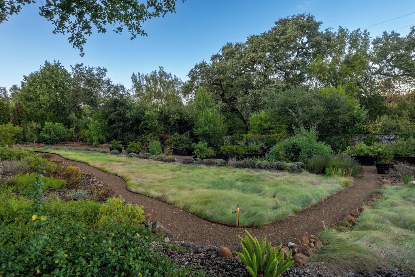 A landscaped garden with a winding path, various shrubs, and trees.