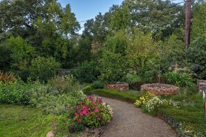 A garden with a gravel path, various plants, and a stone wall.
