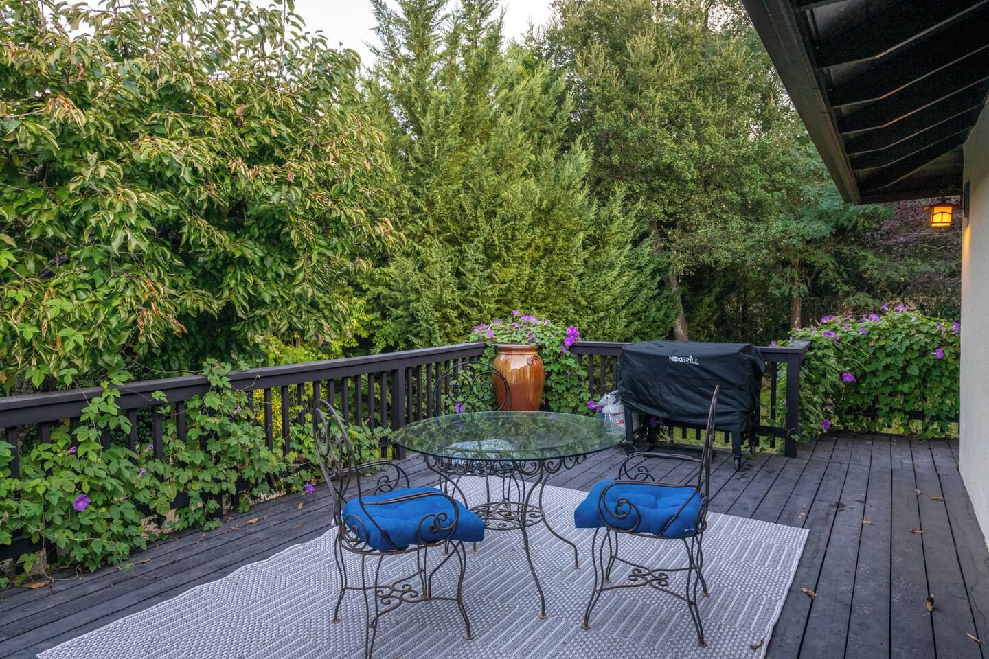 Une terrasse dotée d’une table et de chaises en verre, entourée d’une végétation luxuriante.
